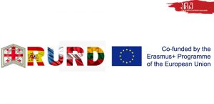 Online Training in the Frame of Erasmus+ Project Role of Universities in the Regional Development – RURD